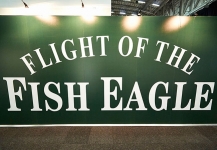 Stand build for Brandy Show